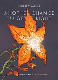 Cover Another Chance to Get It Right (2016 Edition)