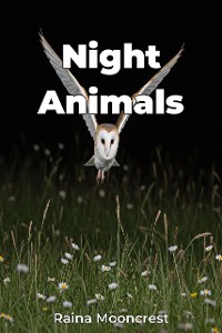 Cover Night Animals