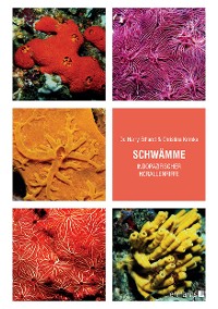 Cover Schwämme indopazifischer Korallenriffe