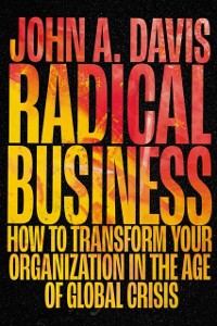 Cover Radical Business