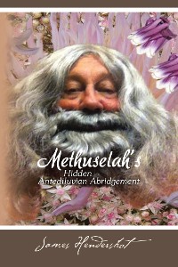 Cover Methuselah's Hidden Antediluvian Abridgement