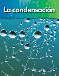 Cover La condensacion (Condensation)