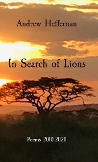 Cover In Search of Lions