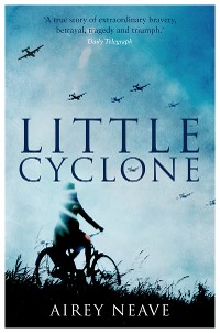 Cover Little Cyclone