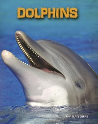 Cover Dolphins