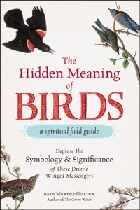 Cover Hidden Meaning of Birds--A Spiritual Field Guide