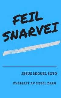 Cover Feil snarvei