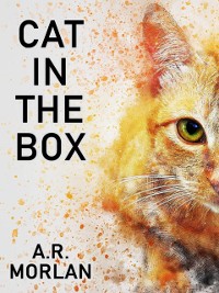 Cover Cat in the Box
