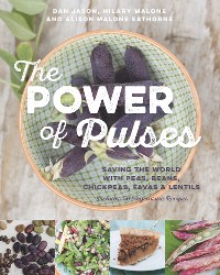 Cover The Power of Pulses