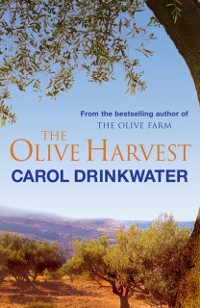 Cover Olive Harvest