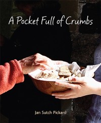 Cover Pocket Full of Crumbs