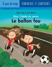 Cover Le ballon fou - Niveau de lecture 3
