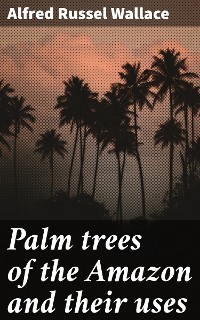 Cover Palm trees of the Amazon and their uses