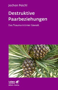 Cover Destruktive Paarbeziehungen (Leben Lernen, Bd. 214)