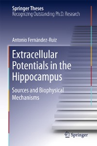 Cover Extracellular Potentials in the Hippocampus