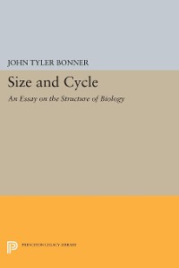 Cover Size and Cycle