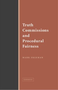 Cover Truth Commissions and Procedural Fairness