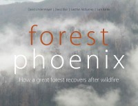 Cover Forest Phoenix