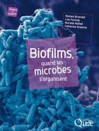 Cover Biofilms, quand les microbes s''organisent