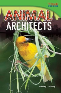 Cover Animal Architects