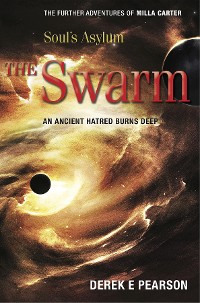 Cover Soul's Asylum - The Swarm