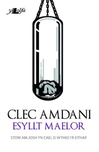 Cover Cyfres Copa: Clec Amdani