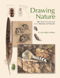 Cover Drawing Nature