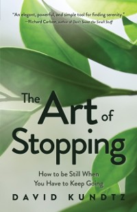 Cover Art of Stopping