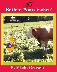 Cover Entlein 'Wasserscheu'
