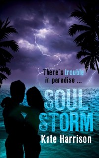 Cover Soul Storm