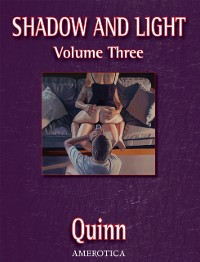 Cover Shadow and Light, Volume 3