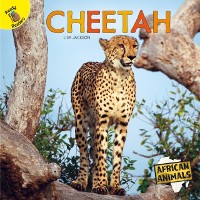 Cover Cheetah