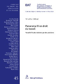 Cover Panorama IV en droit du travail