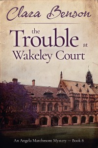 Cover The Trouble at Wakeley Court