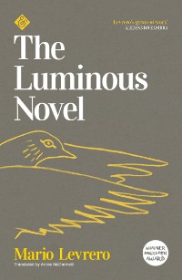 Cover The Luminous Novel