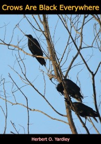 Cover Crows are Black Everywhere