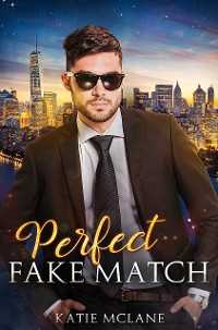 Cover Perfect Fake Match