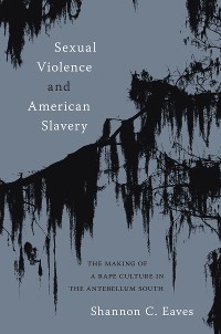 Cover Sexual Violence and American Slavery