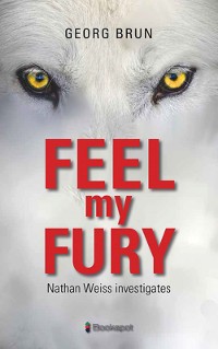 Cover Feel My Fury