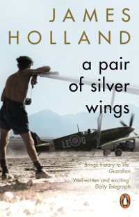 Cover Pair of Silver Wings