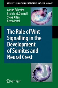 Cover The Role of Wnt Signalling in the Development of Somites and Neural Crest