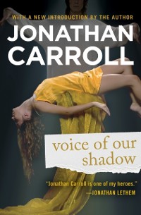 Cover Voice of Our Shadow