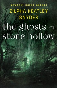 Cover Ghosts of Stone Hollow