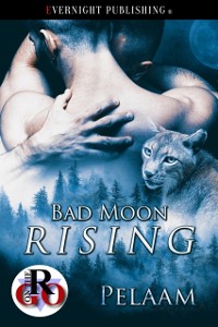 Cover Bad Moon Rising