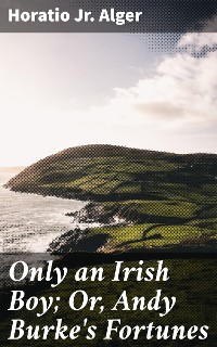 Cover Only an Irish Boy; Or, Andy Burke's Fortunes
