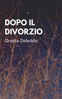 Cover Dopo il divorzio