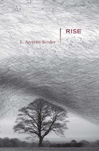 Cover Rise