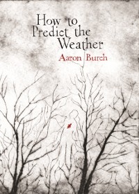 Cover How to Predict the Weather