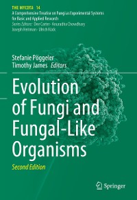 Cover Evolution of Fungi and Fungal-Like Organisms
