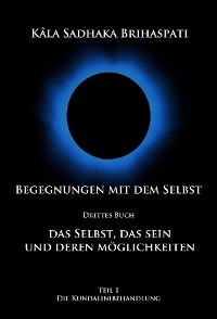 Cover Begegnungen mit dem SELBST